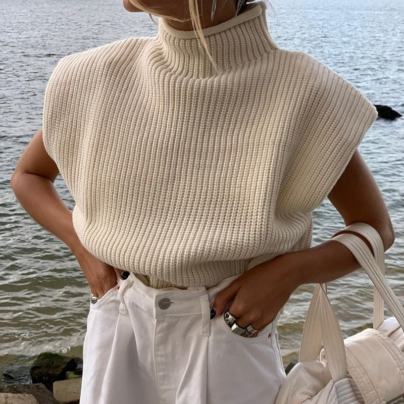 Beatriz Knitted Knit Sweaters Solid Casual Turtleneck Pullover