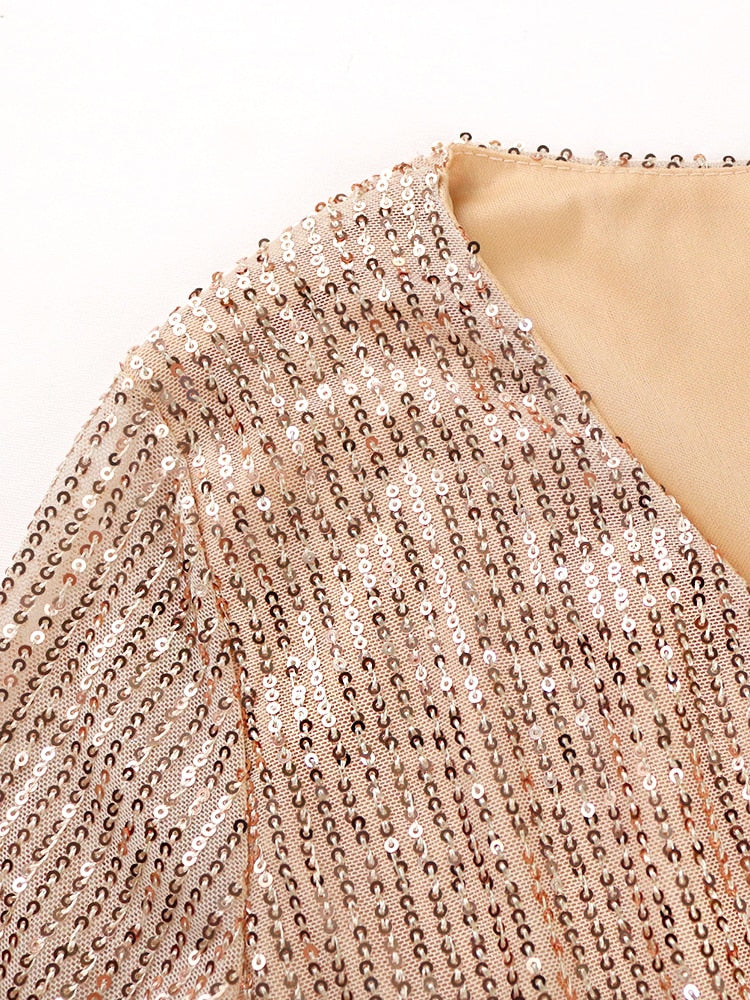 Elegant Sequin Shiny Glitter Dress